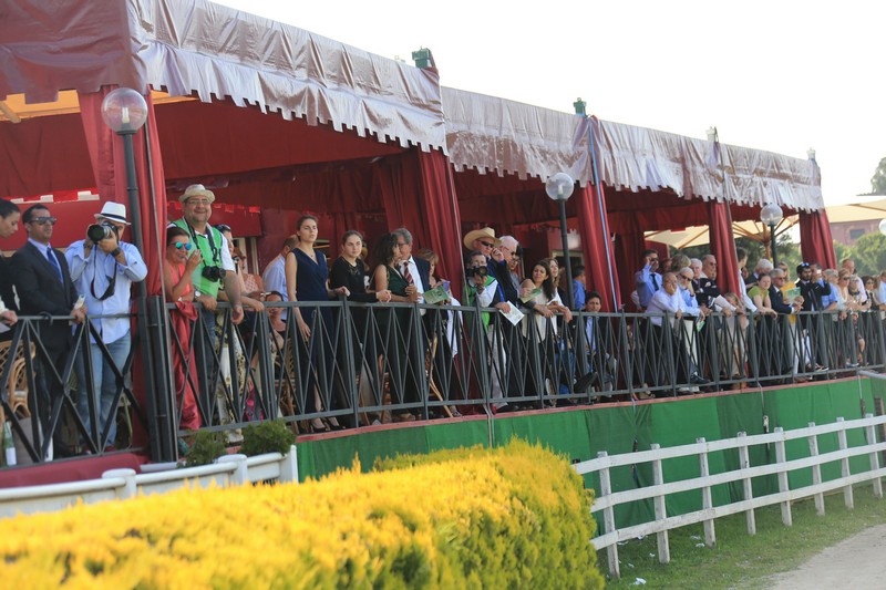Ziyadd wins Listed Zayed Cup at Capanelle Race Course